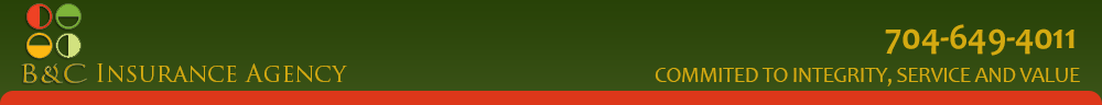 B&C Insurance Agency